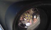 LED t�gelygter